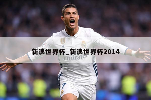 新浪世界杯_新浪世界杯2014