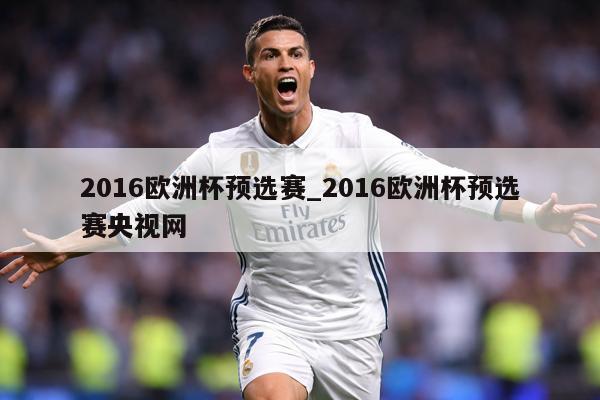2016欧洲杯预选赛_2016欧洲杯预选赛央视网