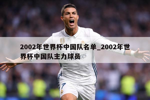 2002年世界杯中国队名单_2002年世界杯中国队主力球员