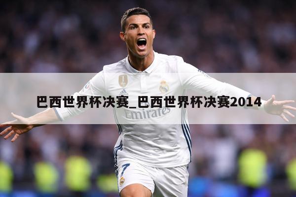 巴西世界杯决赛_巴西世界杯决赛2014