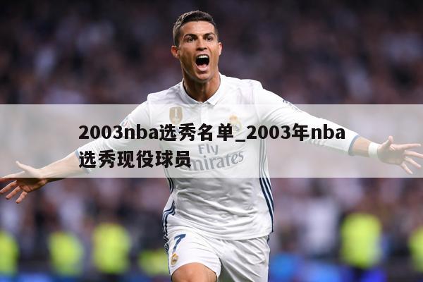 2003nba选秀名单_2003年nba选秀现役球员