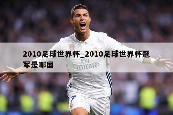 2010足球世界杯_2010足球世界杯冠军是哪国